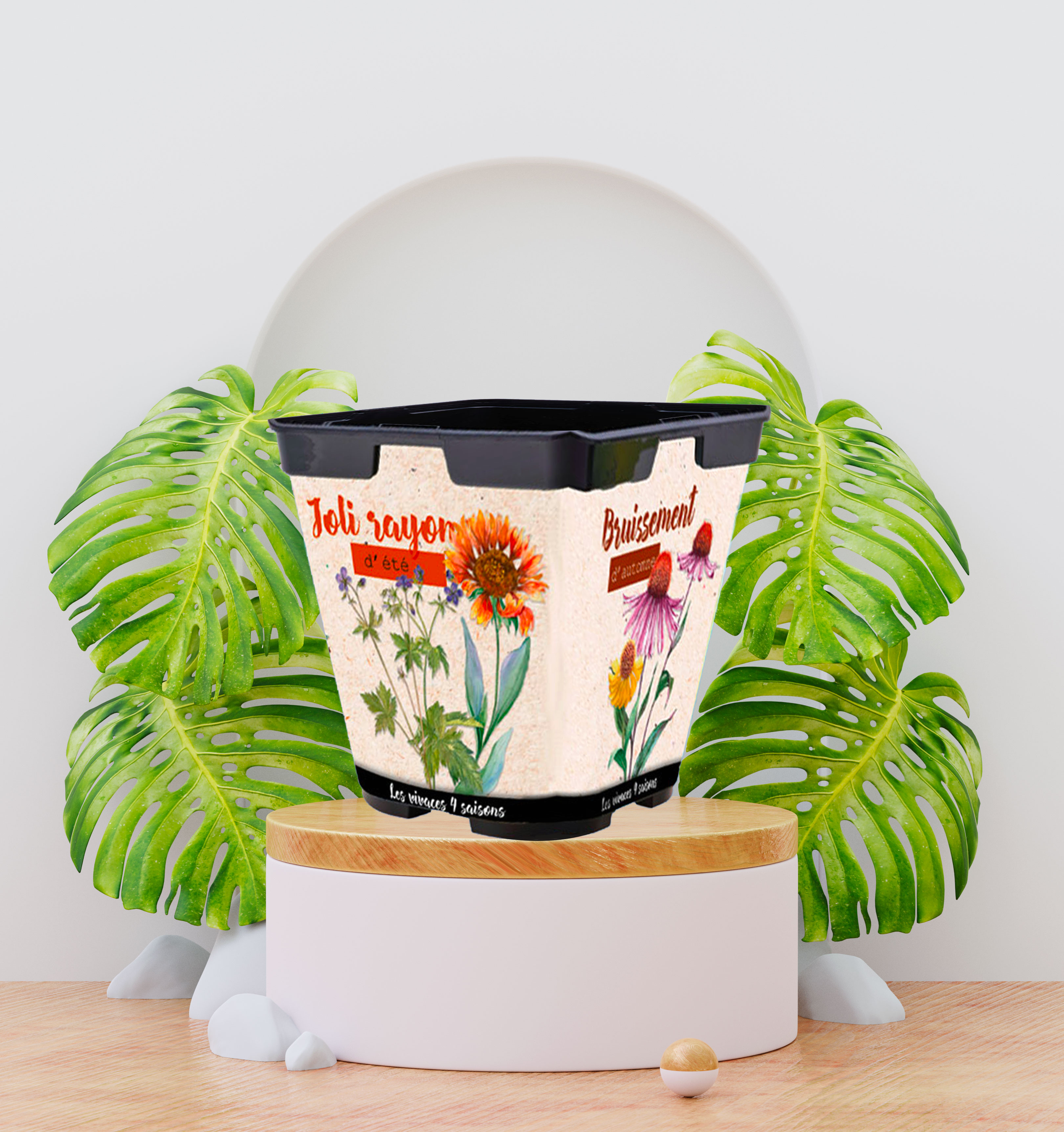 Pot de fleurs Vivaces